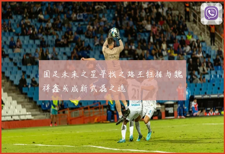 国足未来之星寻找之路王钰栋与魏祥鑫或成新武磊之选